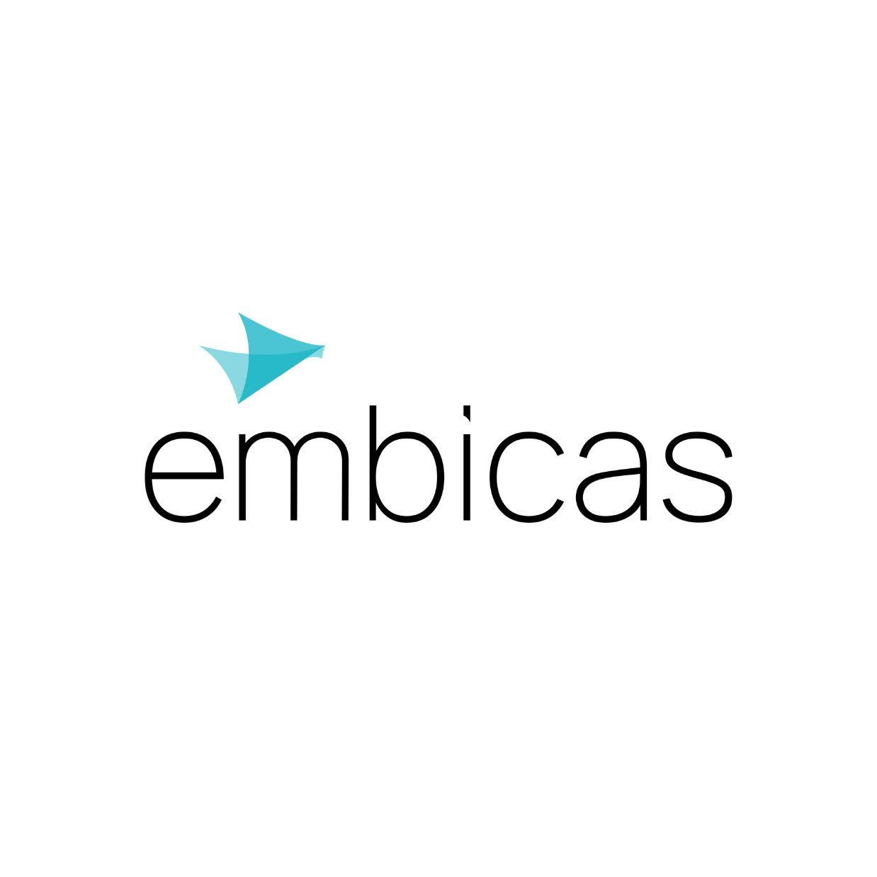 Embicas Logo